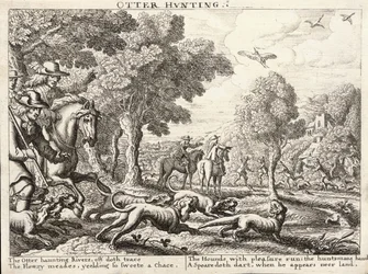 Otter Hunting